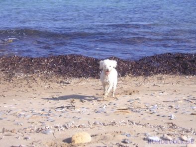 am strand