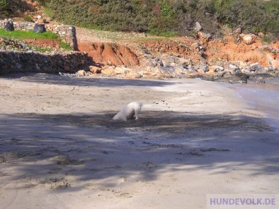 buddeln am strand