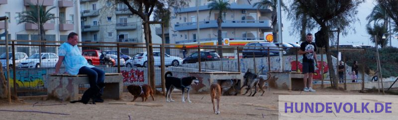 Trainingsplatz für Hunde