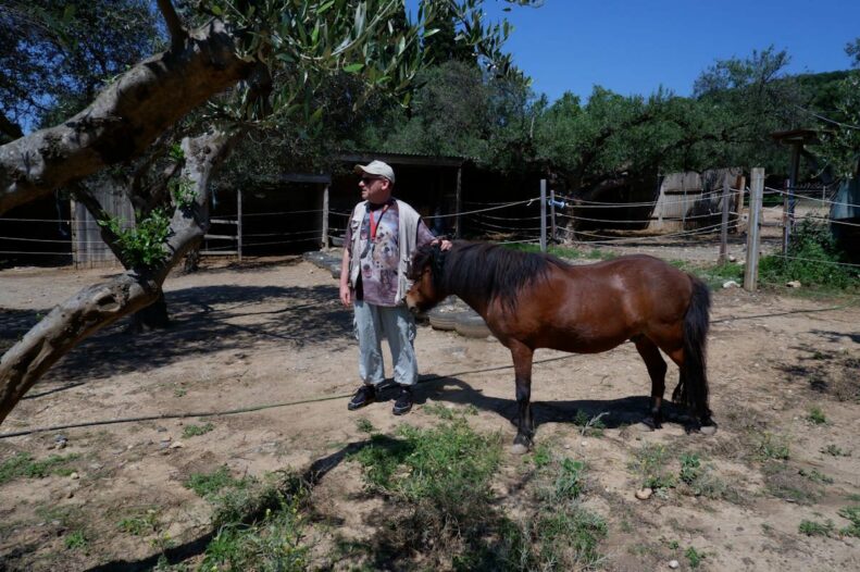 Skyros Ponies 3