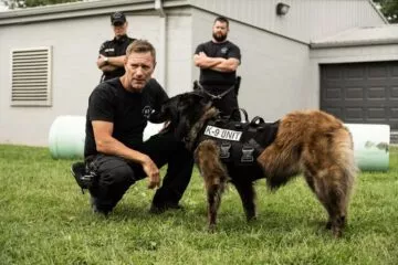 Film Muzzle