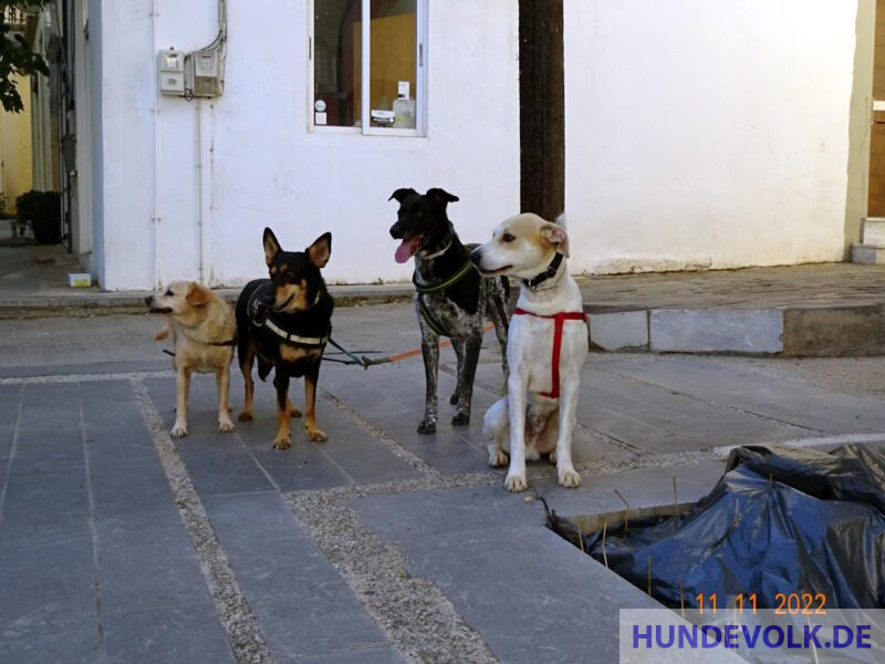 DuDi