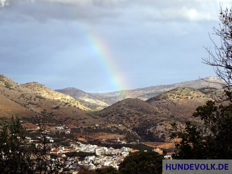 DuDis Homerun 58 Regenbogen DuDi